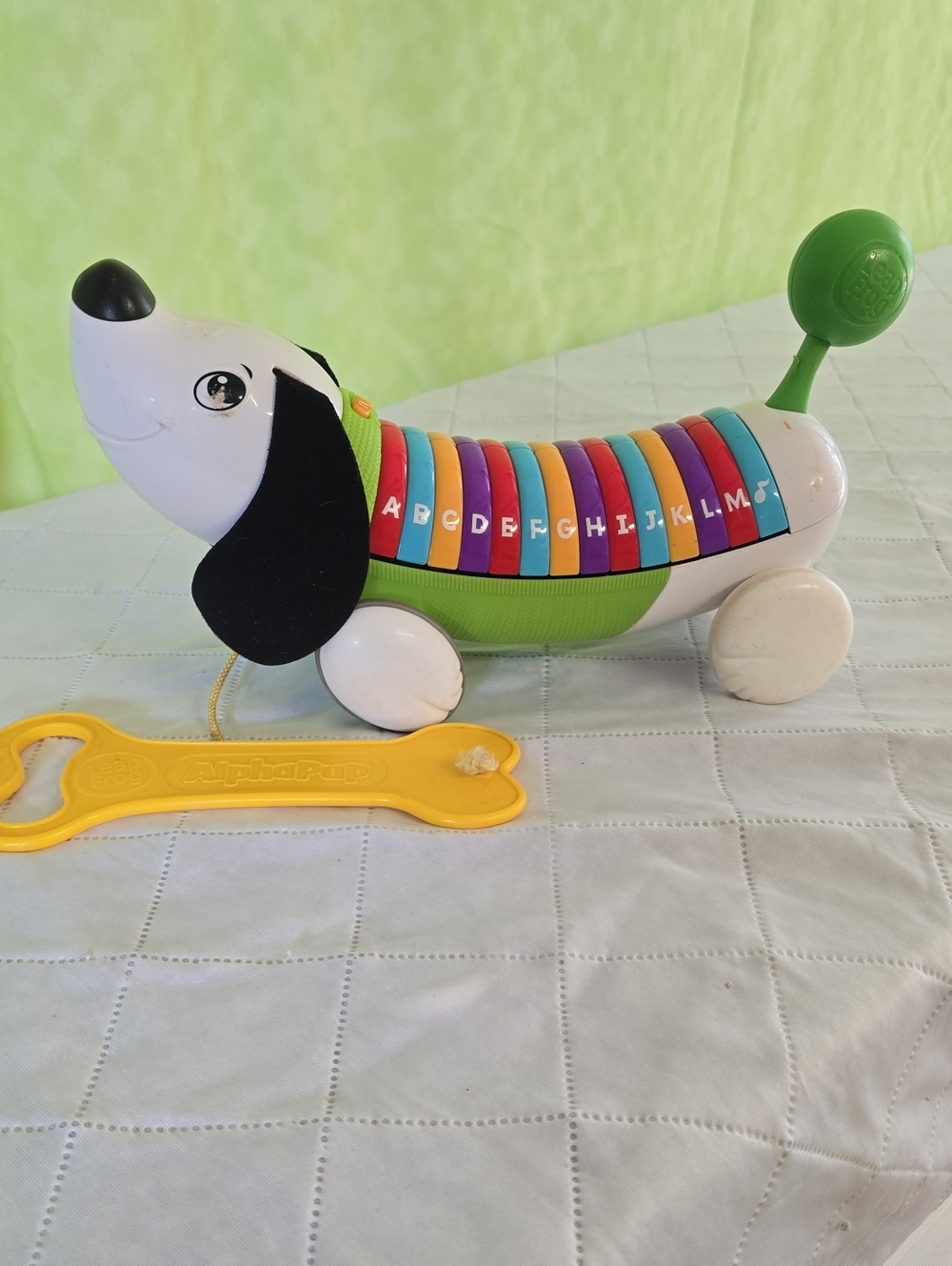 Green Alphabet Xylophone Pull-Dog Toy for Kids